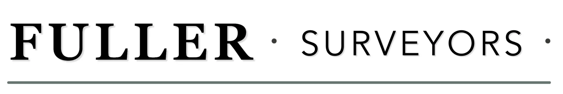 Surveyors - Logo Horizontal